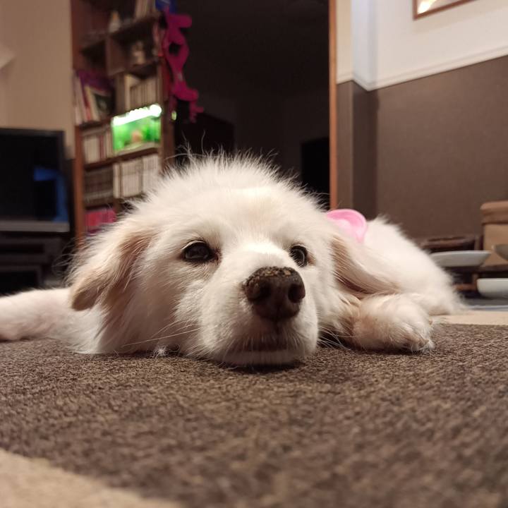 0653fe98 d096 4df7 97d6 cd5cadef4396 1757881046137