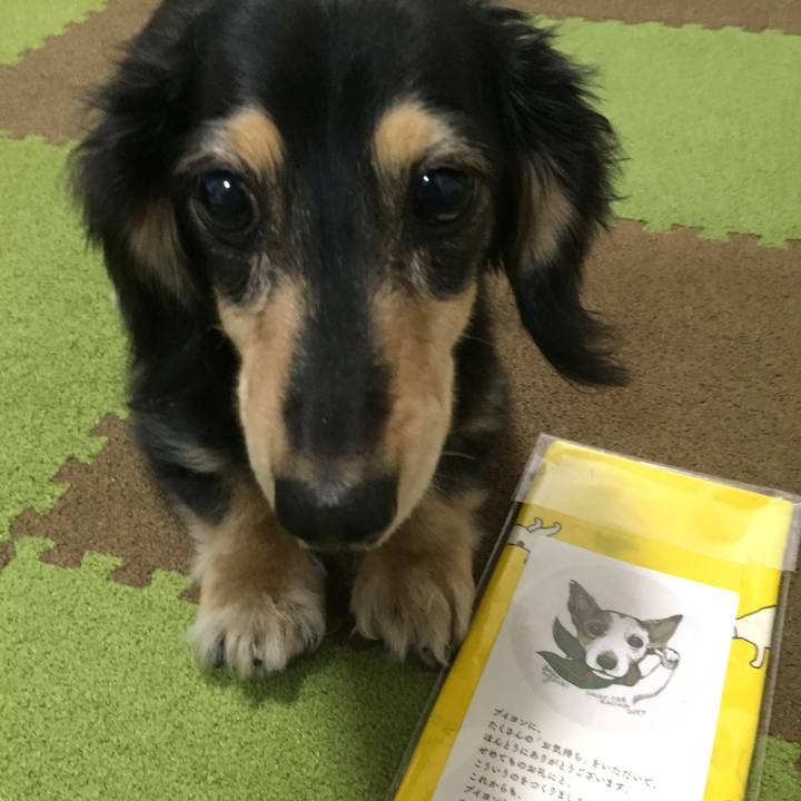 065419be abb5 47c6 ad95 b3945545a358 1527604983370