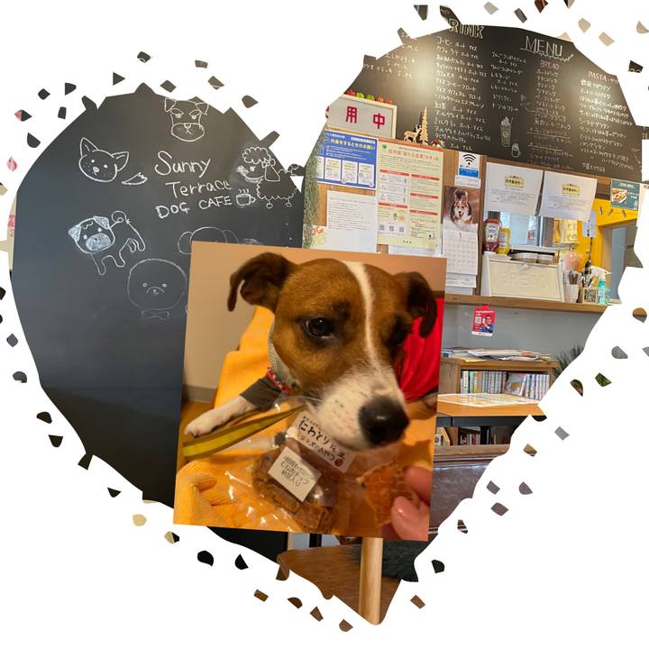 06544d58 9e52 49f3 b60c 95ff3d4ea42d 1642576298127