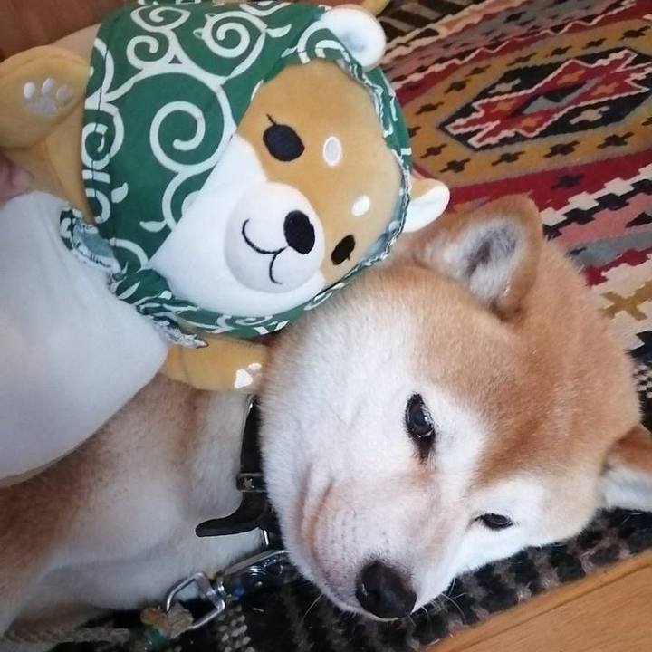 06546c45 b166 4001 a959 c6dc24b1b340 1590042322340