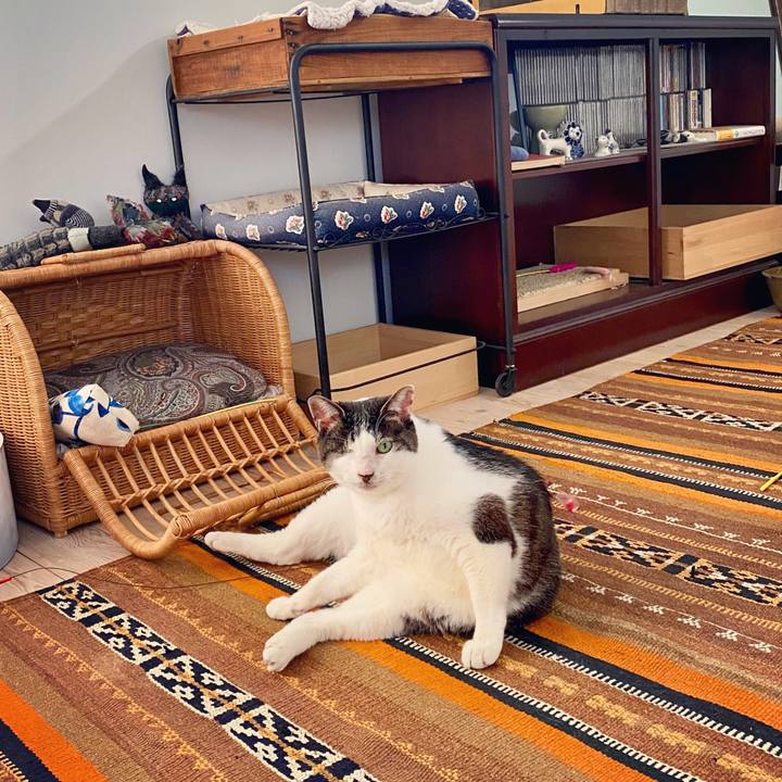 0654751c ab08 49ec b74f 02e11e429a44 1589702993917