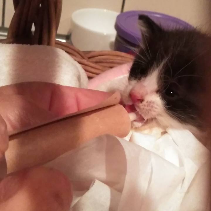 0654b174 50ad 4f12 9dc3 9da9c20fb7d7 1570710490426