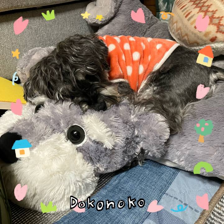 0654c91f 2066 47c9 a3c1 719291d4a688 1741182626704