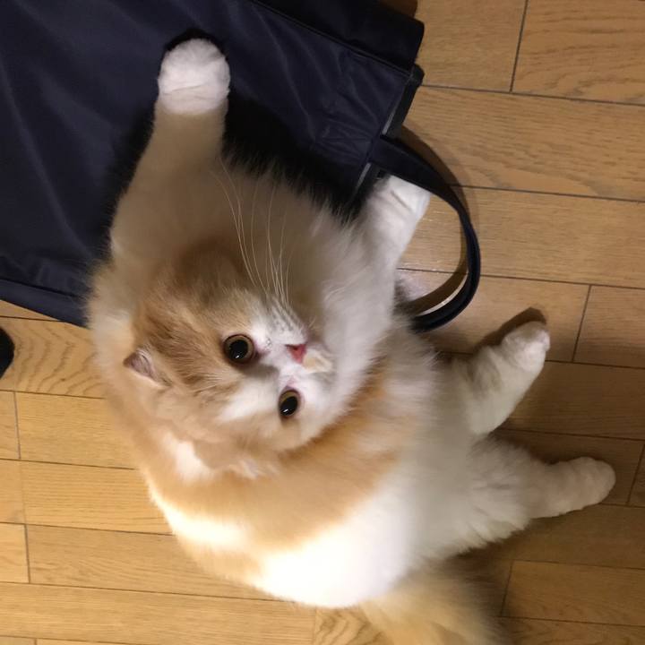 0654cbfd cd3c 4a0c 946d 2e4702a834e9 1531572020692