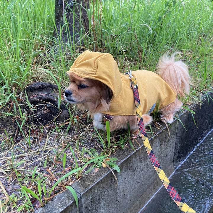 0655643a d375 41f1 9a68 1c23fbc6b8f1 1654465888484