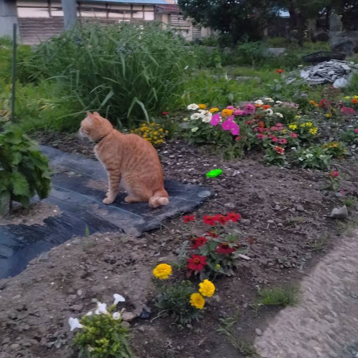 0655b009 720c 4abb bf4c 6c806a0f67ca 1686651638454