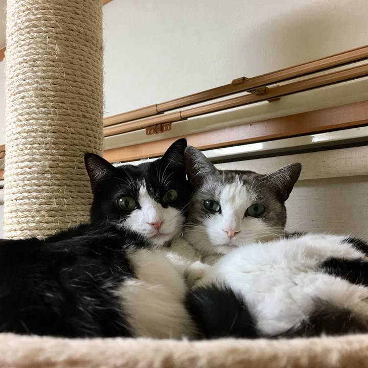 0655e1e0 4bdd 46fd 8925 c3a797b02dd2 1515236397796