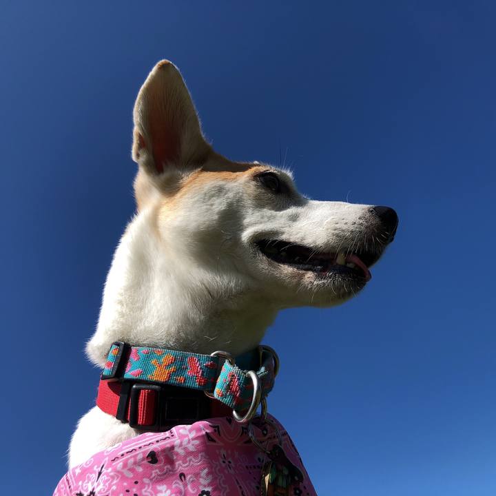 0655f48f e35a 4ba3 8fc7 93346df2d469 1601467637134