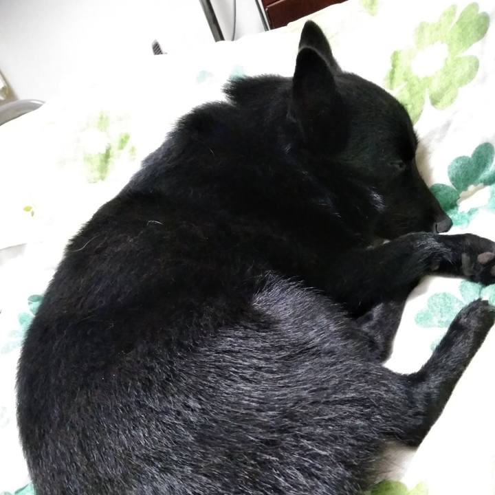 0655f90e a455 49cc 84e3 012c8922a50e 1566130505024