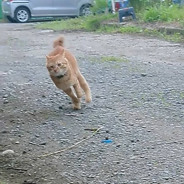 06560ae9 9ab1 4a2a a2b9 abb945276fcd 1661205271892