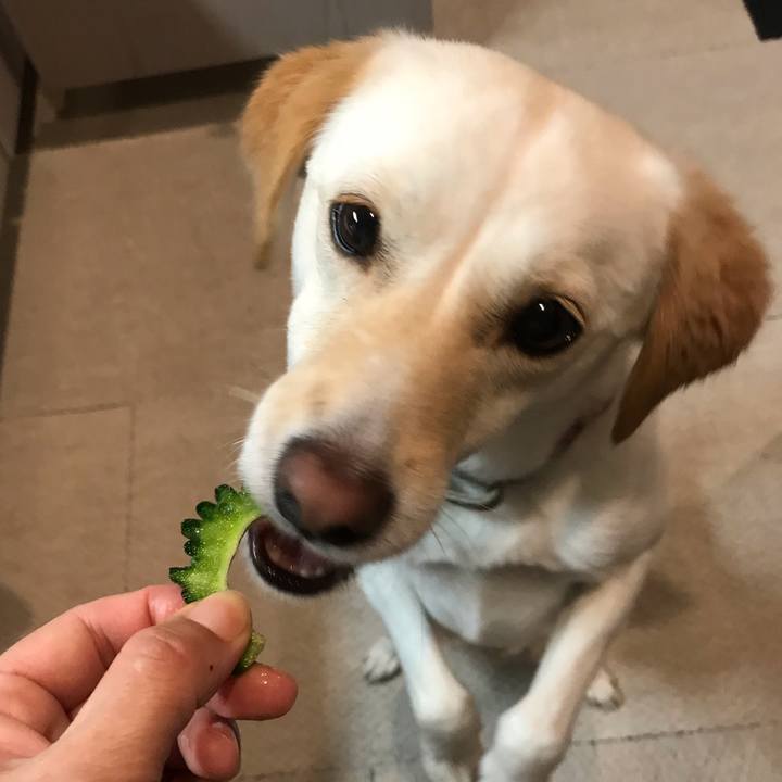 065637e4 72da 490e 80f7 989a9c554668 1588508951201