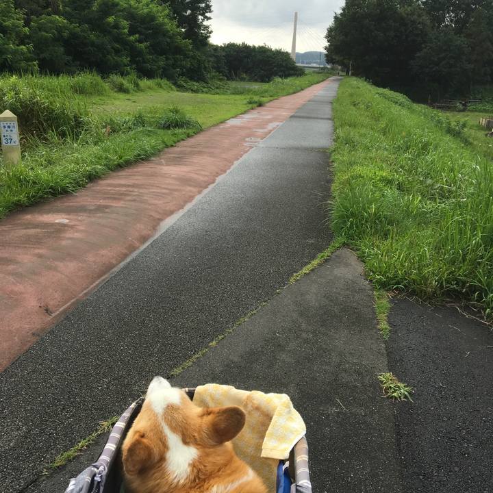 06563c8c 8556 4063 99e7 374a30e0e4a6 1563926566165