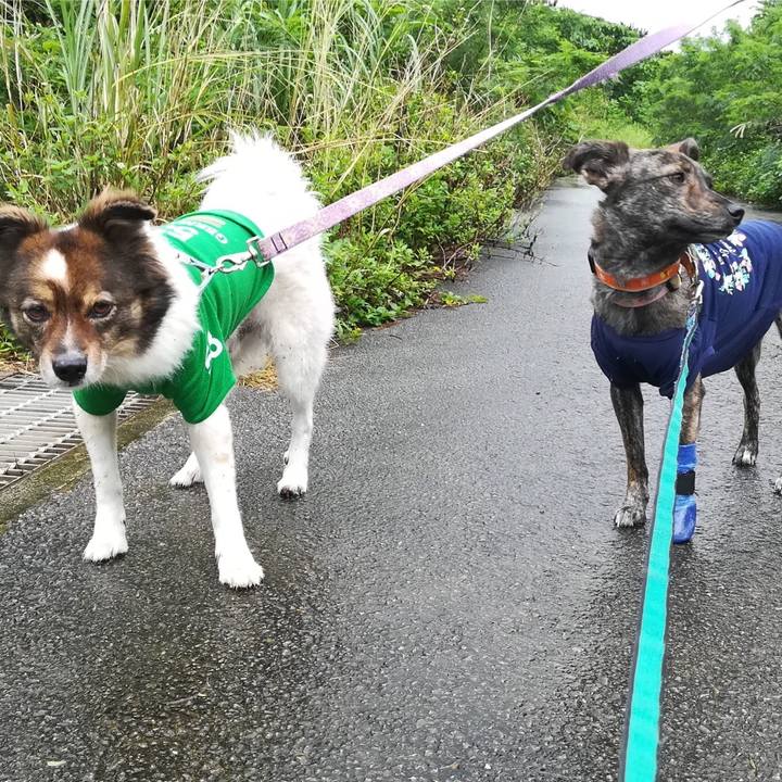 06563dbe bcb9 4b87 a6a6 ee5e413e306d 1546439926890