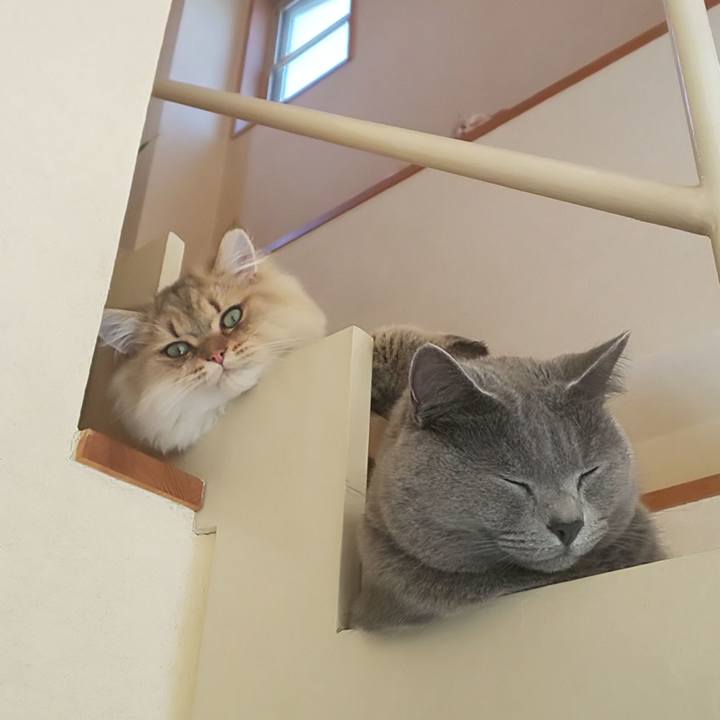 065650ce b6f6 4288 9874 39ef76ae59e4 1569977699435