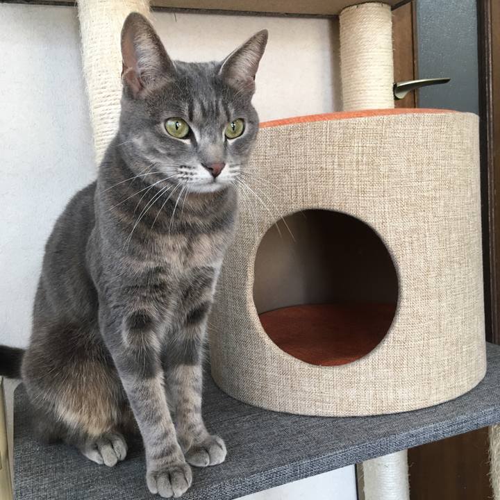 06569358 0be4 466f a4e3 ba75b246ce42 1518401838172