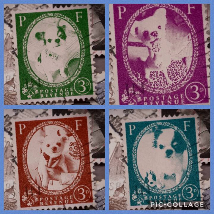 0656981d 983d 4962 80ab c2bc605ec361 1570083602463