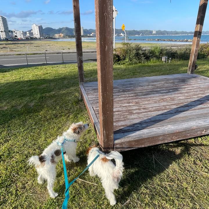 0656d181 3185 4310 80bf 42802f49061e 1776719552366