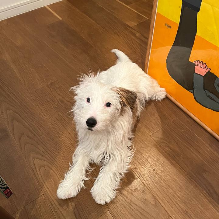 0656ff11 a662 42dc ba52 94413e147aa5 1713099404398