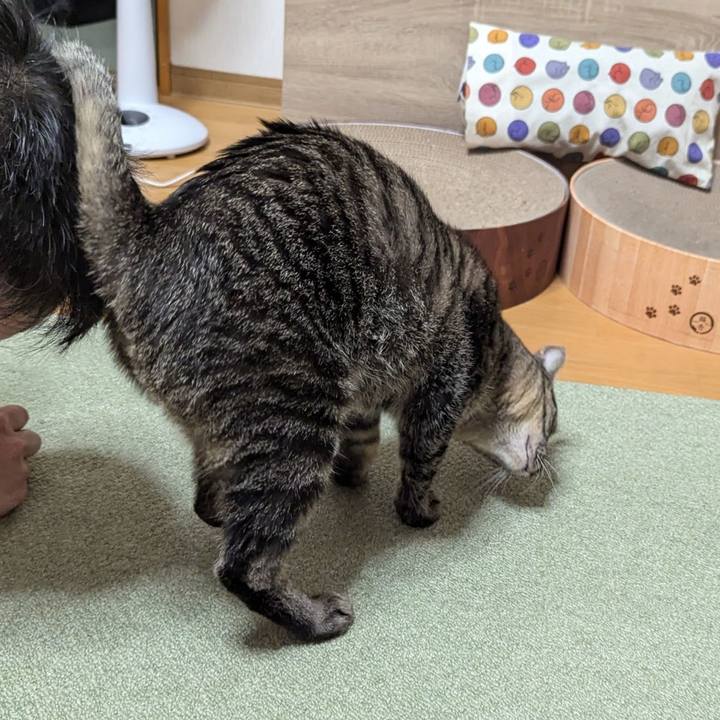 06572fdf 5ef6 494d b3c4 5b2971554ec1 1726318714486