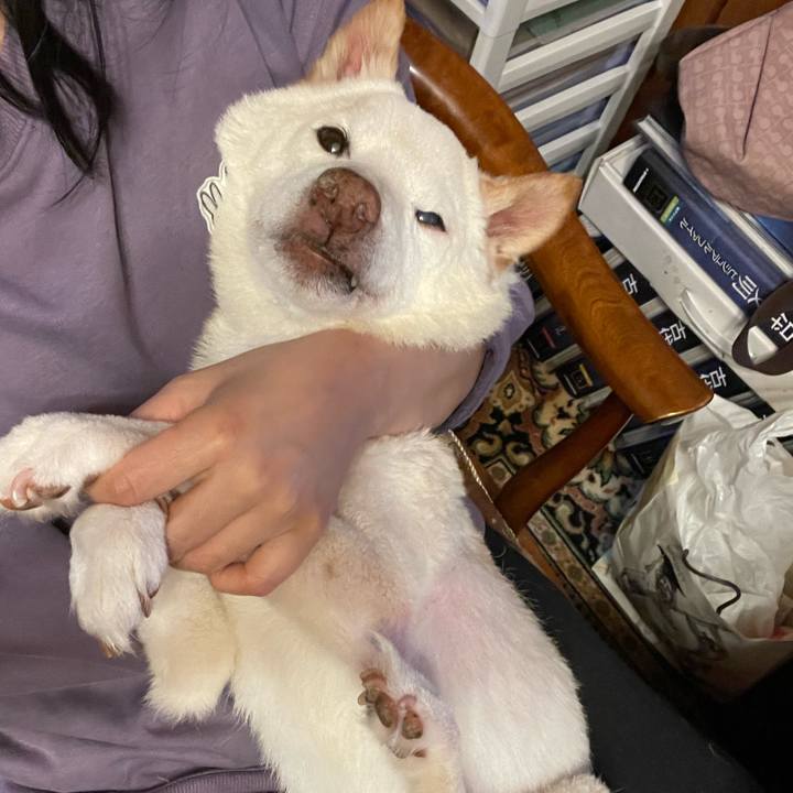 06573892 8955 45a8 ba14 1c25ec58e7af 1674047138776