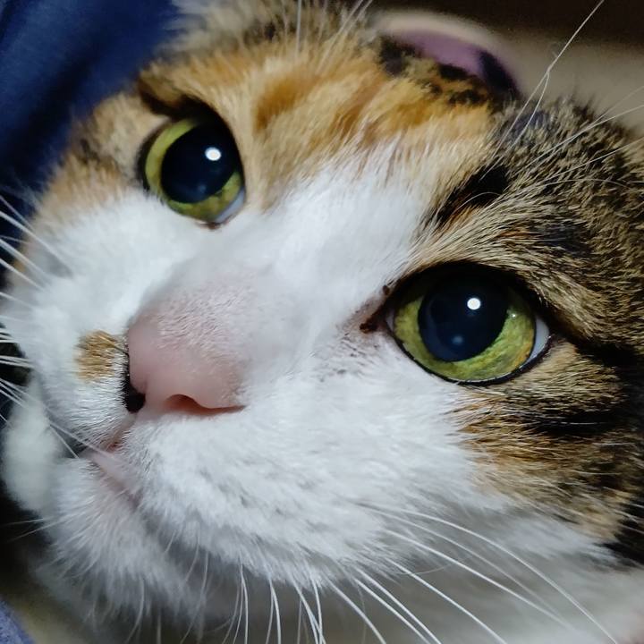 06573c4a 8c0a 4368 91f7 21f37b8f5239 1607852715926