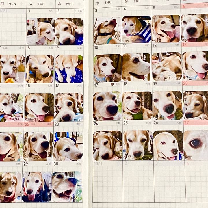 0657414c 890a 4752 ad4d e3f7cb7eee22 1601511437653