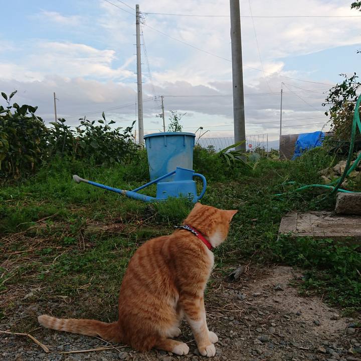 06575228 1ea1 4146 a828 26c62d3f1ce3 1569228108819