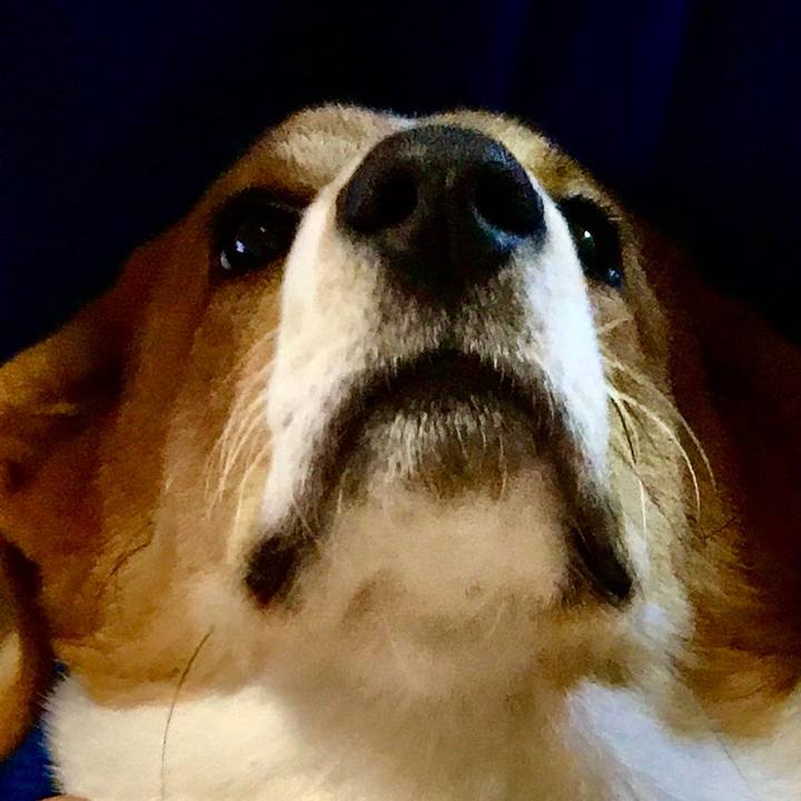 065765c0 317b 4081 b775 f9695b9453a9 1596643370727