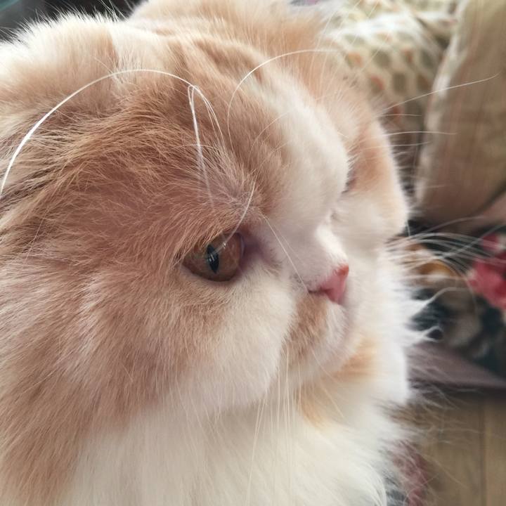 0657b81f a275 4c0c 8bca 22ae6f60e762 1549186786784