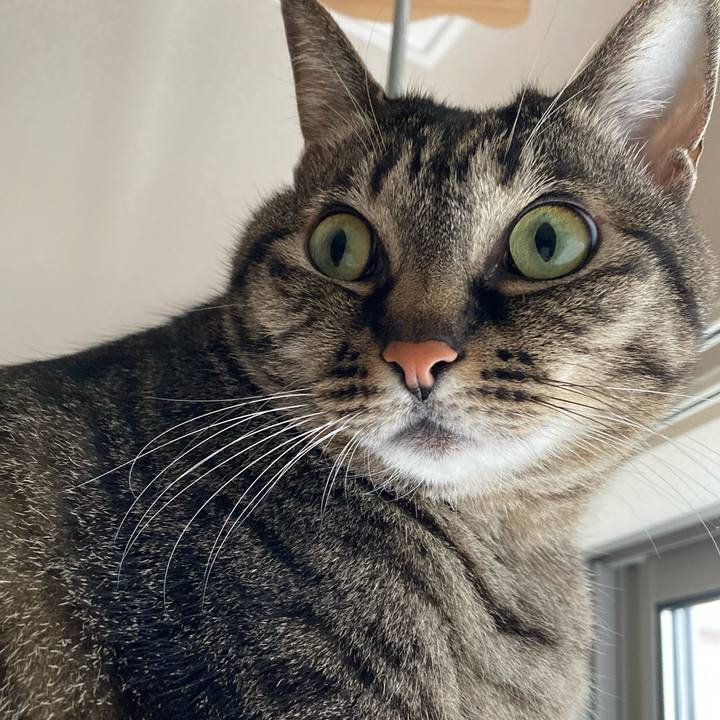 065835e8 60a7 43dc 8475 48e5e95992bb 1645230056748