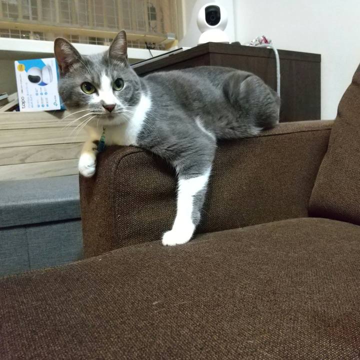 065838e9 e1b8 4558 b331 7d82ddf56c5d 1641301815137