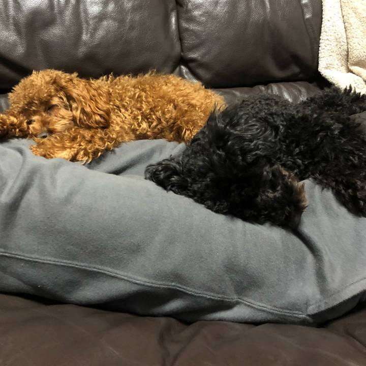 06583bdc 17a8 4f77 b175 2b32f3d25a43 1518009894975