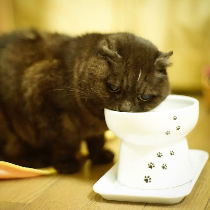 0658441d d9f3 47c5 952d e3577021a509 1645453597127