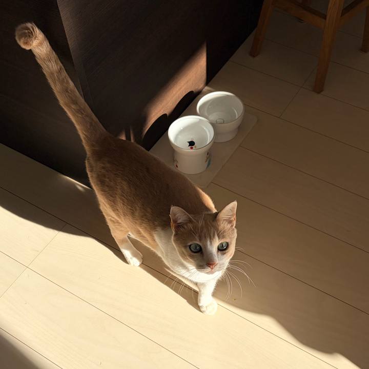 06586b5a 60e5 4e96 a4f3 d8fb76efca75 1771659178922