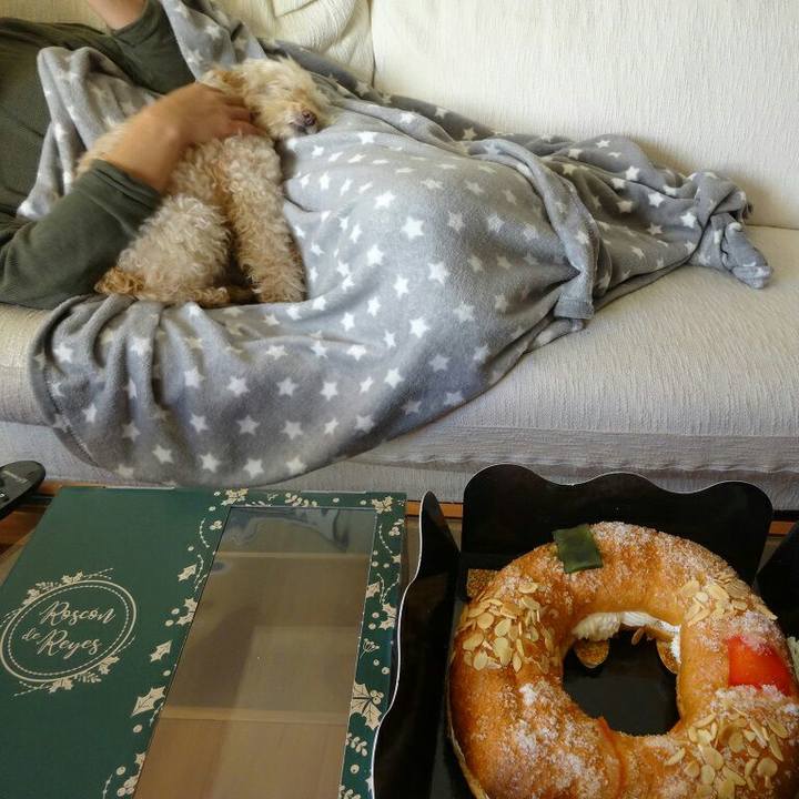 0658fb20 db65 42f6 8f4d 2e373f6fe6ef 1578347900817