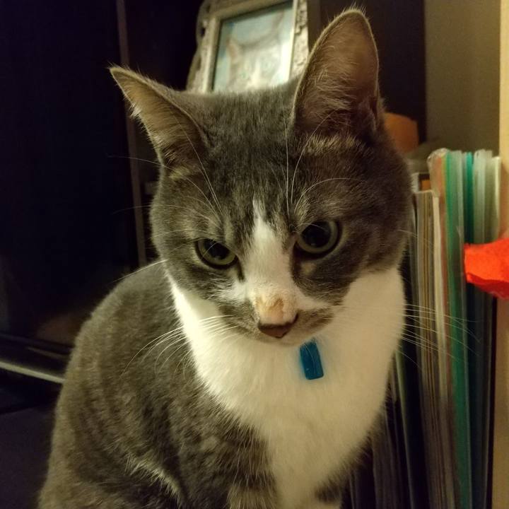 065903dd 22d0 4e70 bfc5 e16f01afe9d5 1609279587500