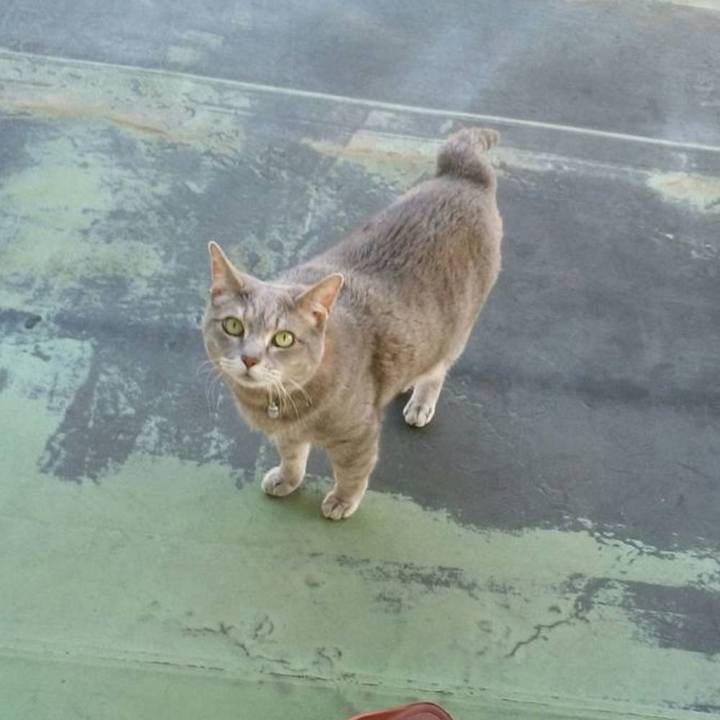 065907fa 9d4d 4dcd a615 d2a840006c19 1714915228181