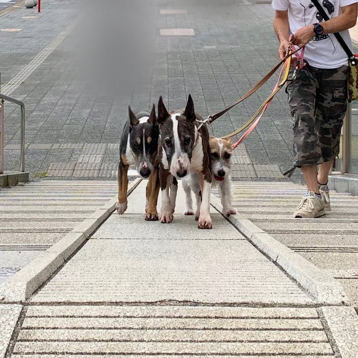 06591c98 249c 4d66 b28a b0c81329d1fb 1593336816973