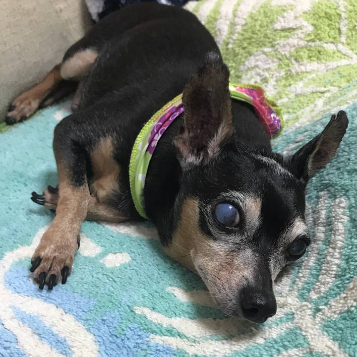 06591de1 5ab2 43c0 8a72 4b2bbfc98889 1563459173292