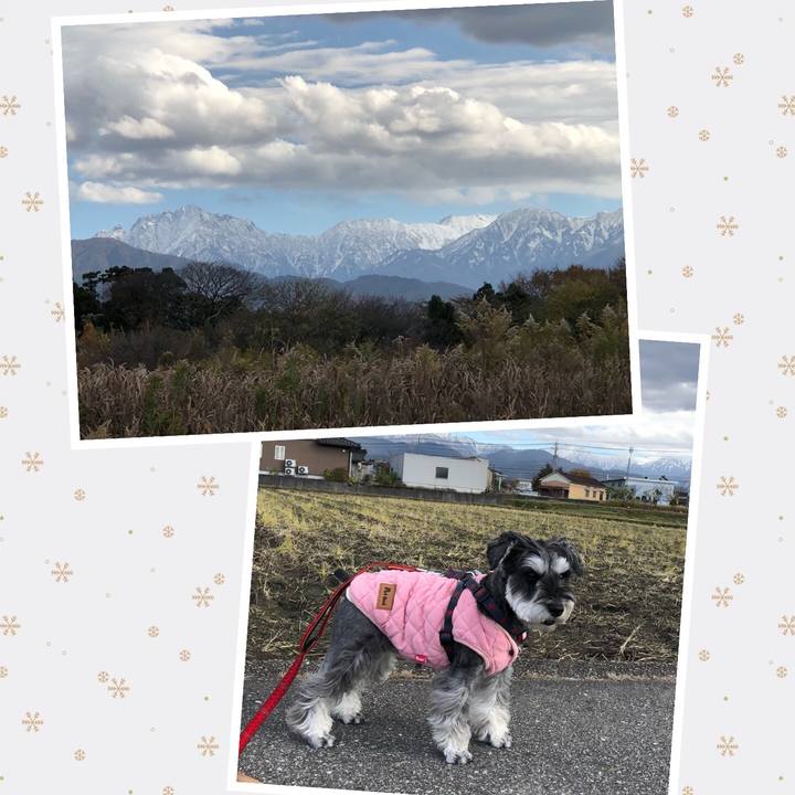 065921ed 8068 4b2e bce2 917cc300ed27 1669557361375