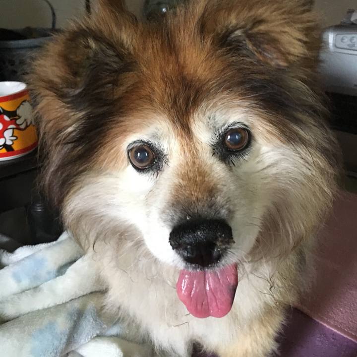 06594d29 b4dd 4bf5 a9c3 cb127498d1c2 1575169464723