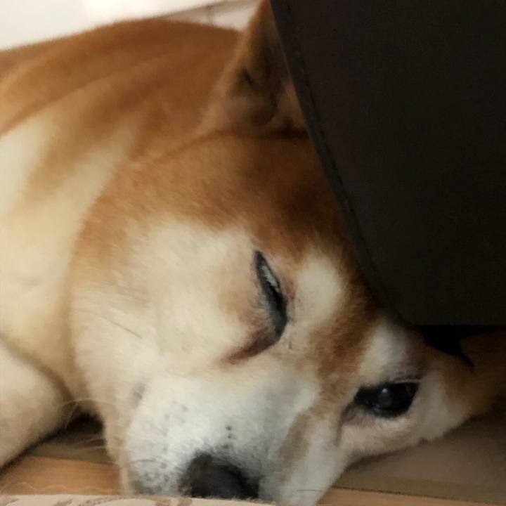 06597683 bc26 42ff 9a74 395d2ae6ed8e 1566810987067