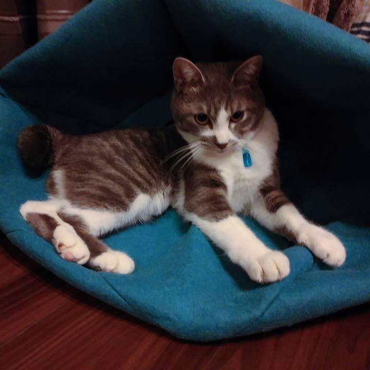 06597f7e f094 4edd 91fe 608414bea0ab 1585317469306