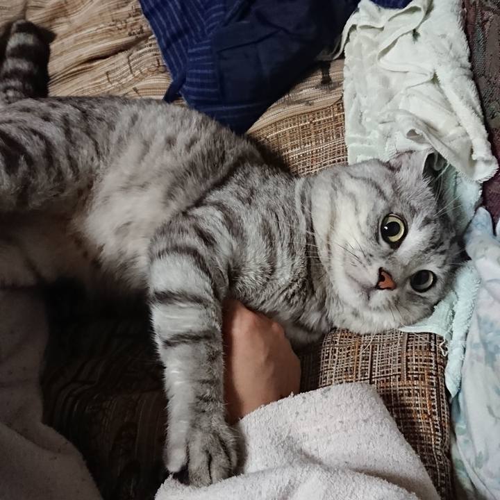 0659855c 0535 4316 a9e9 5c6c13995eb9 1563633927170