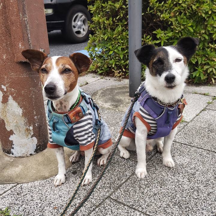 0659ac53 1121 4c7e 88fe 35142a14d904 1749346284073