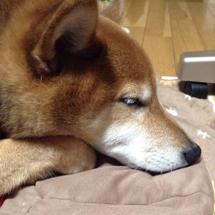 0659b14e 0fcf 43c5 ae4e d63cd2c6445d 1551313964433