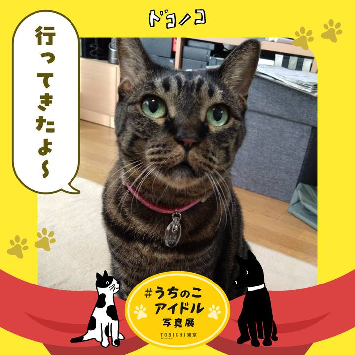 0659ba63 04bb 42a3 8500 9a89330dae40 1761142137759