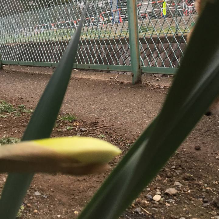 0659dd70 6b4c 4f50 809a 52d532997506 1583310322907