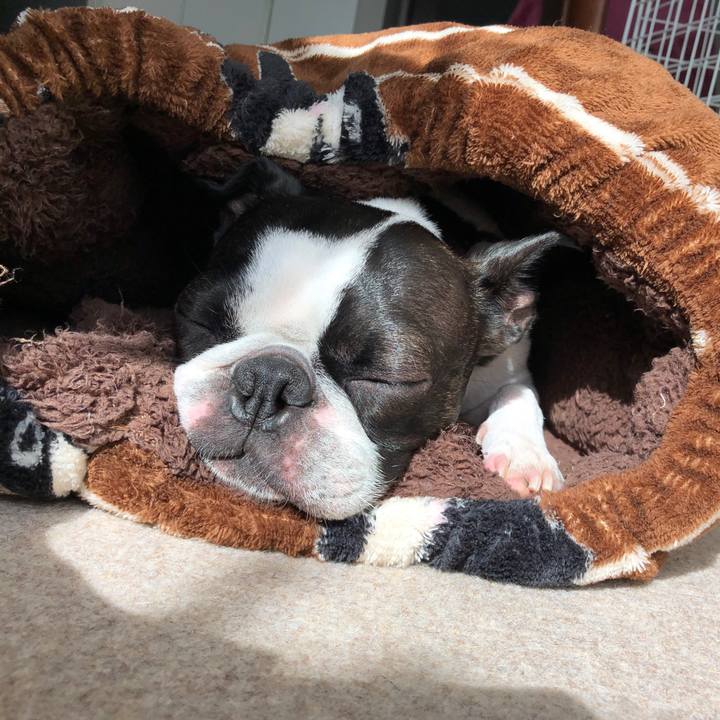 065a07da 98f3 4532 8ec4 55e39768c7e5 1636262905379