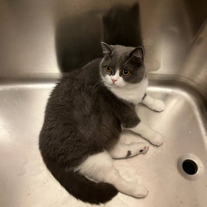 065a1abc 539b 4572 8c61 1e76275baabb 1633821929877